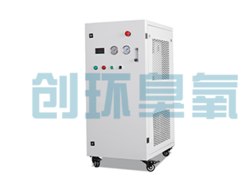 冀州石斑鱼养殖水质调控完整指南:臭氧发生器配置与操作步骤