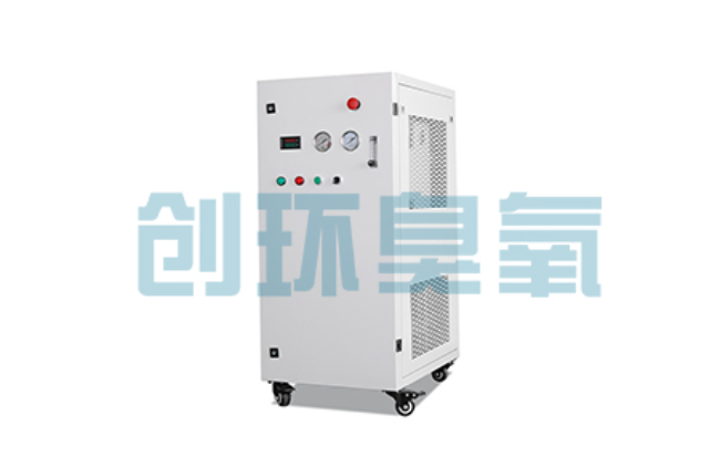 冀州比传统换水更高效?臭氧发生器在石斑鱼养殖中的水质净化原理解析